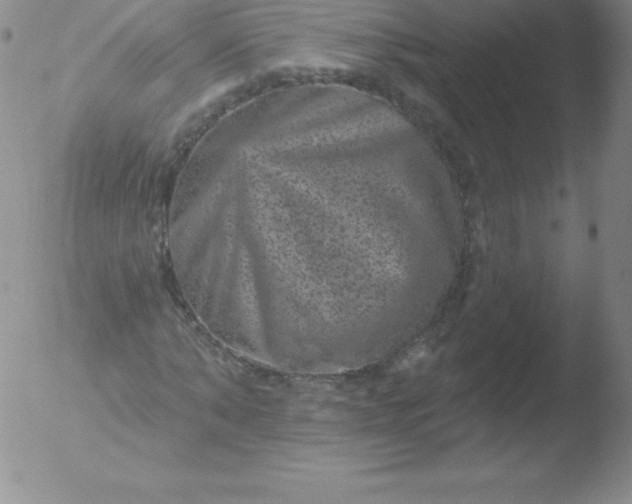 X0000051890870200507081936