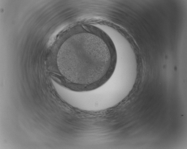 X0000051890871200507081936