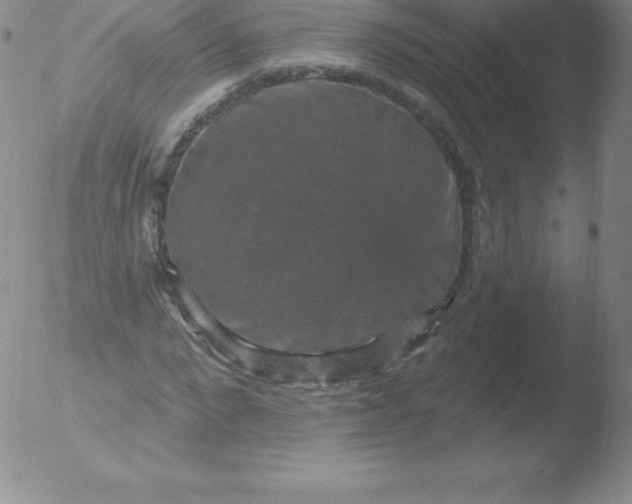 X0000051890872200507081936