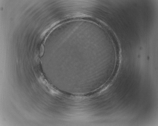 X0000051890873200507081936