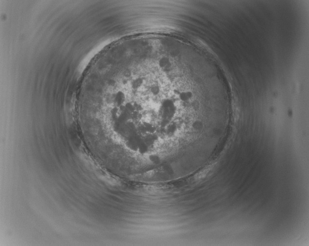 X0000051890875200507081936