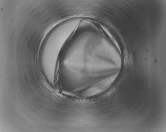 X0000051890876200507081936