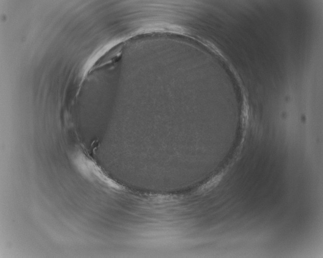 X0000051890877200507081936