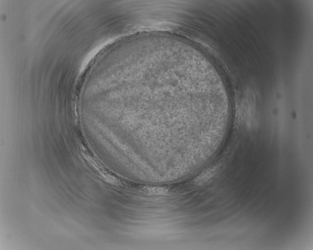 X0000051890878200507081936