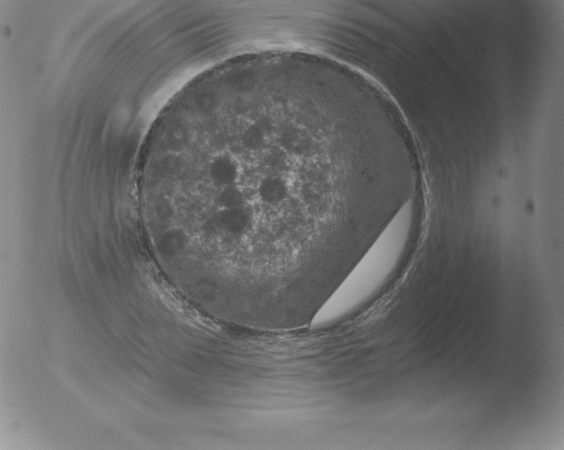 X0000051890879200507081936