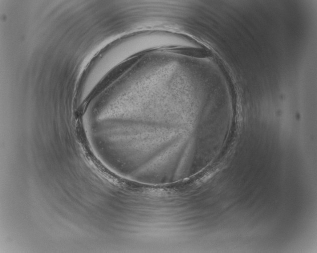 X0000051890880200507081936