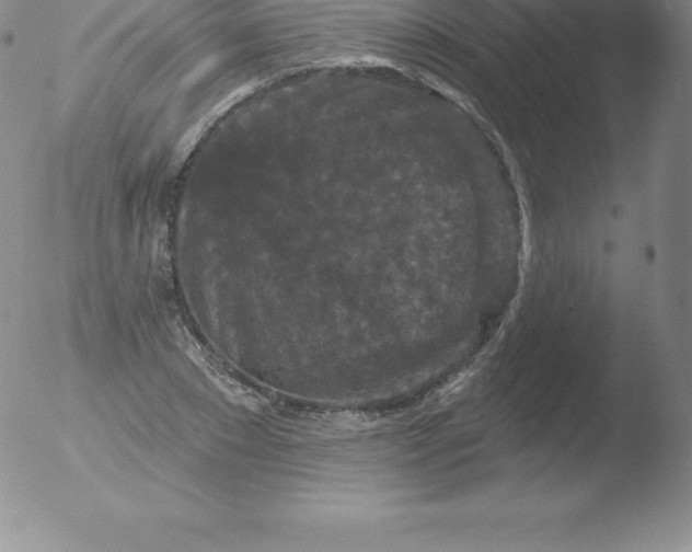 X0000051890881200507081936