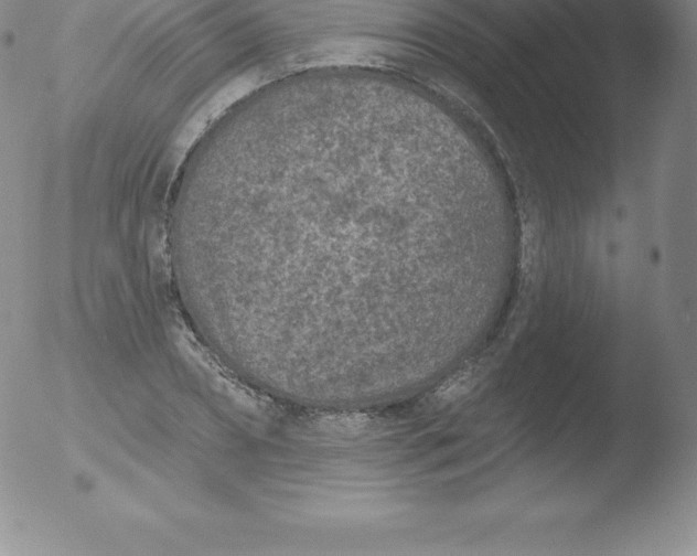 X0000051890882200507081936