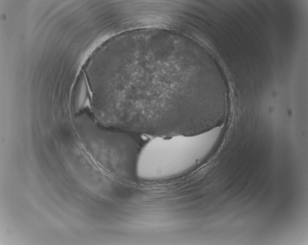 X0000051890883200507081936