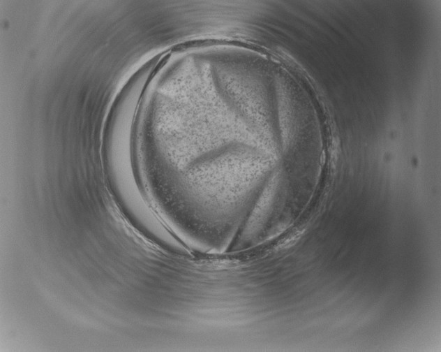 X0000051890884200507081936