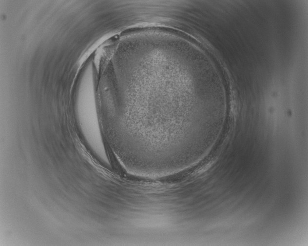 X0000051890885200507081936