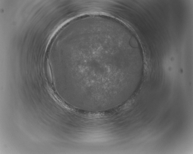 X0000051890887200507081936