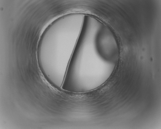 X0000051890888200507081936