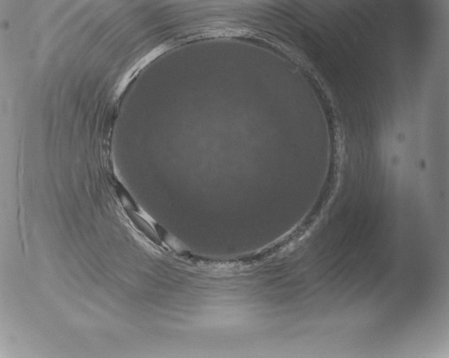 X0000051890889200507081936