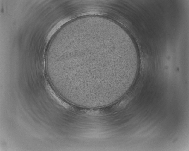 X0000051890890200507081936