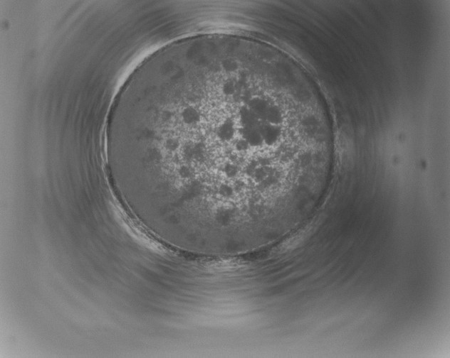 X0000051890891200507081936