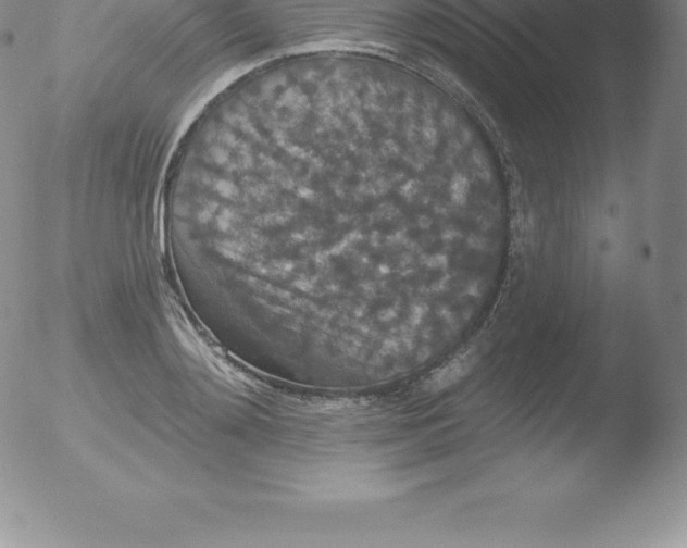 X0000051890892200507081936