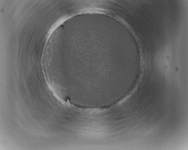 X0000051890893200507081936