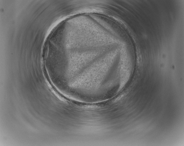 X0000051890894200507081936