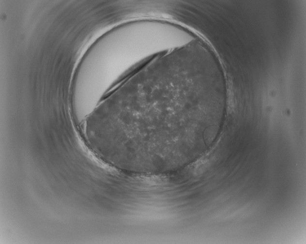 X0000051890895200507081936