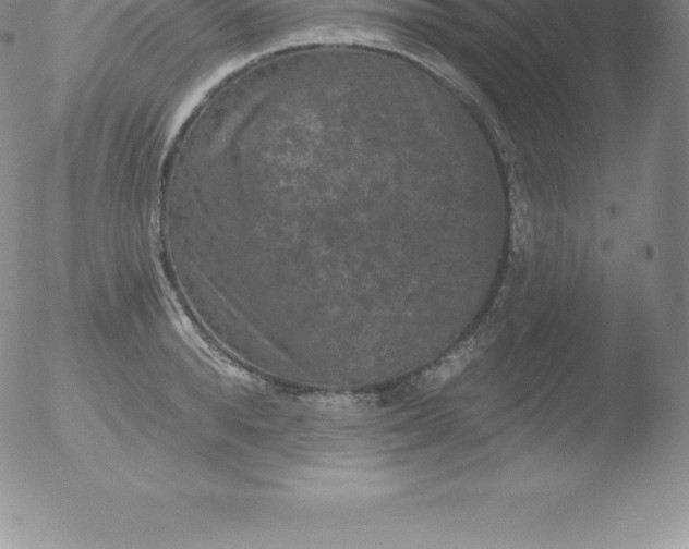 X0000051890896200507081936