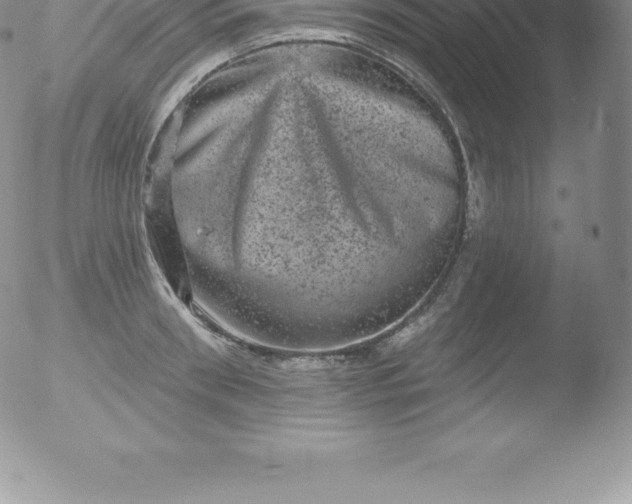 X0000051890898200507081936