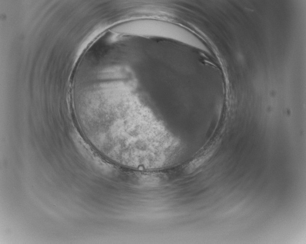 X0000051890899200507081936