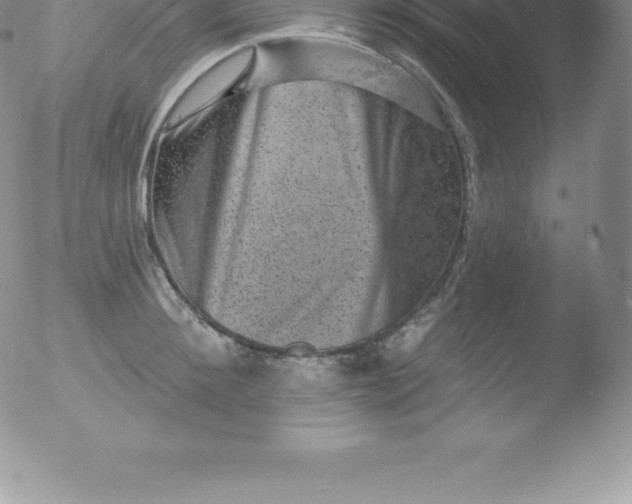 X0000051890900200507081936