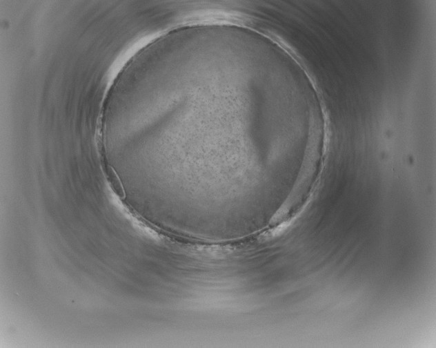 X0000051890901200507081936