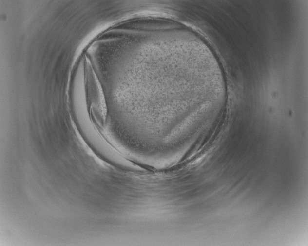 X0000051890902200507081936