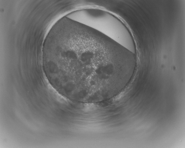 X0000051890903200507081936