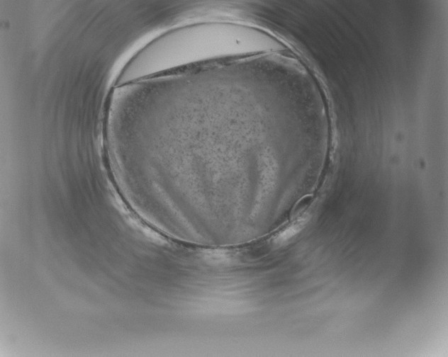 X0000051890904200507081935