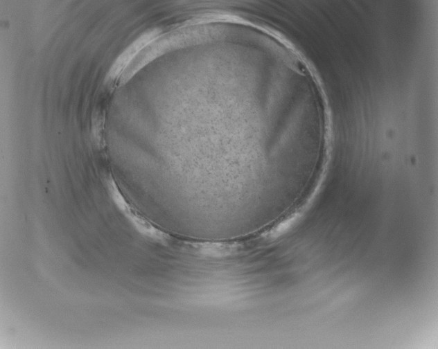 X0000051890905200507081935