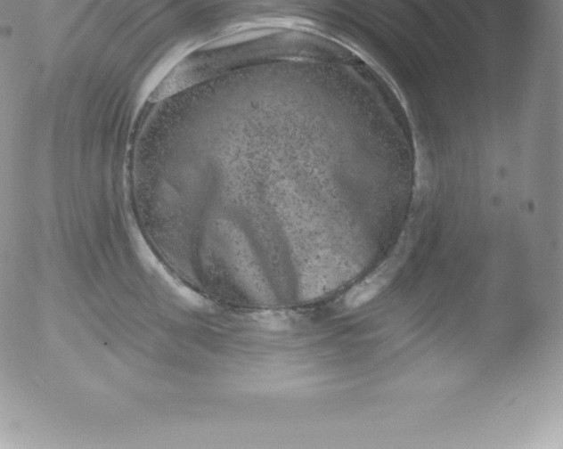 X0000051890906200507081935