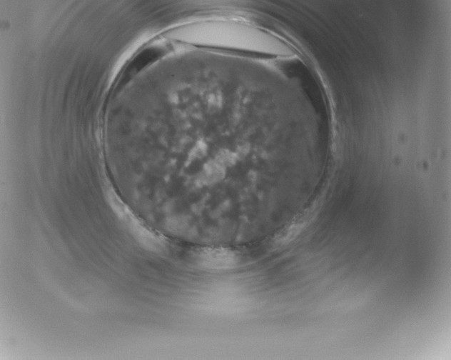 X0000051890907200507081935