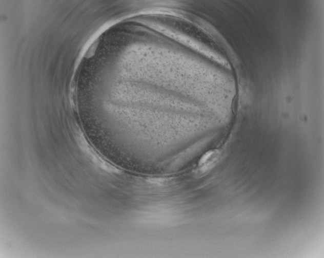 X0000051890908200507081935