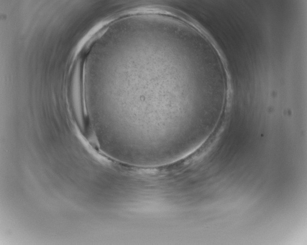 X0000051890909200507081935