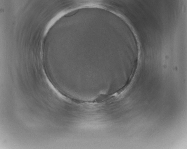 X0000051890910200507081935