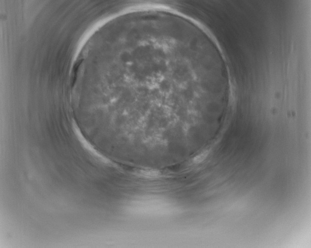 X0000051890911200507081935