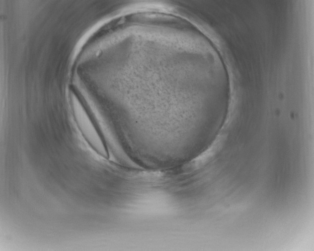 X0000051890912200507081935