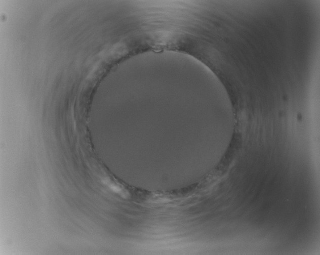 X0000051890913200507081935