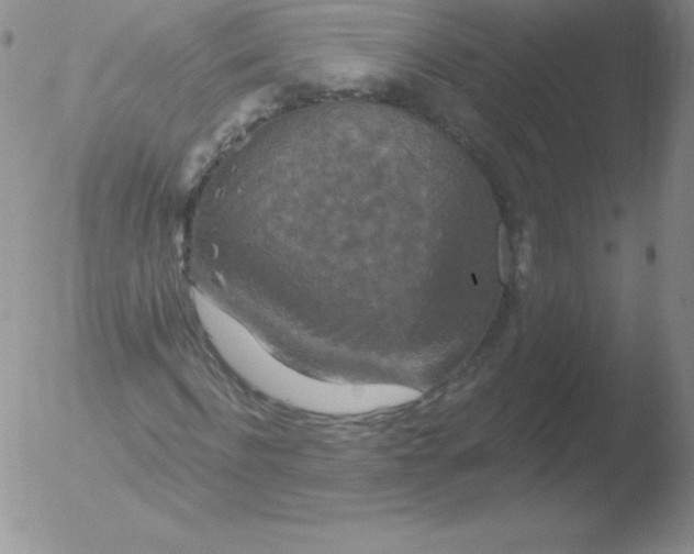 X0000051890916200507081935