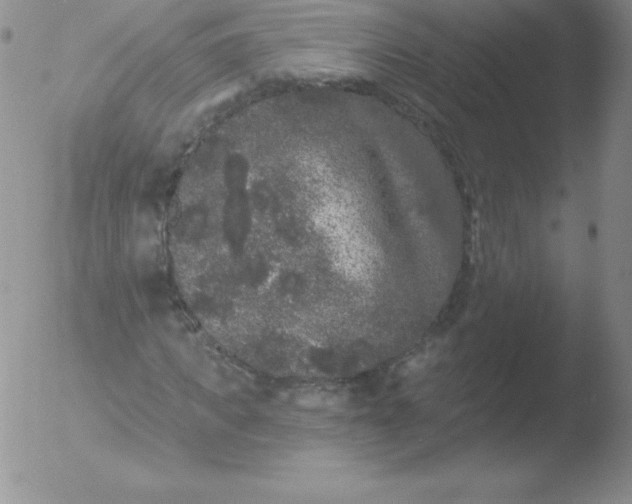 X0000051890917200507081935