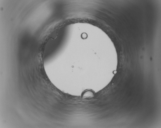 X0000051890918200507081935