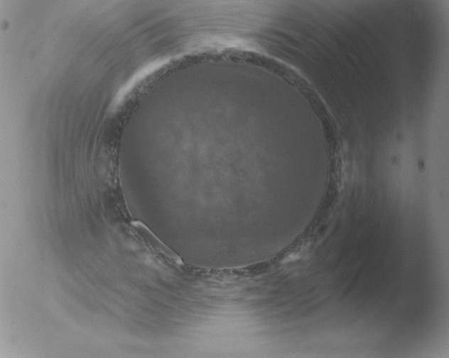 X0000051890919200507081935