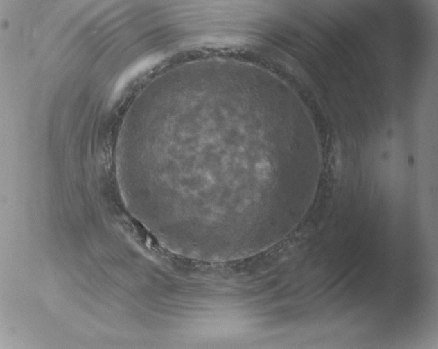 X0000051890920200507081935