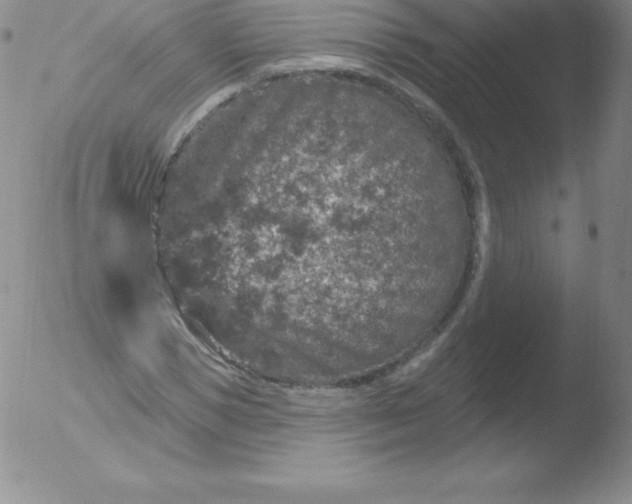 X0000051890921200507081935