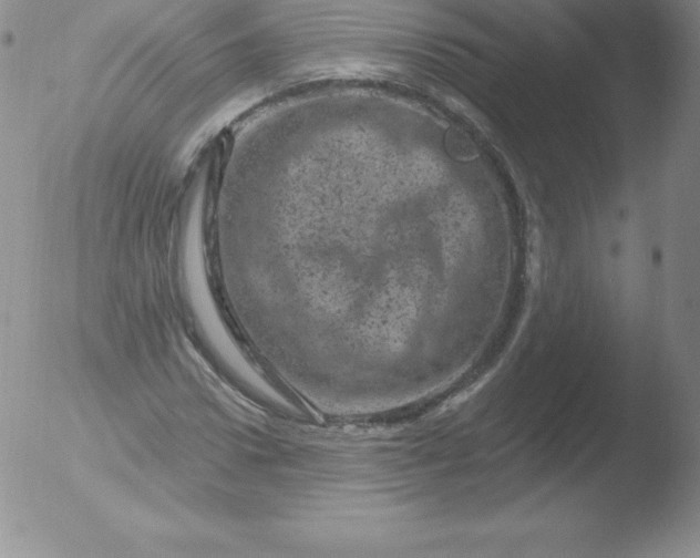 X0000051890922200507081935