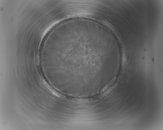 X0000051890924200507081935