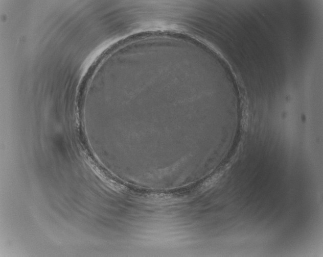 X0000051890927200507081935